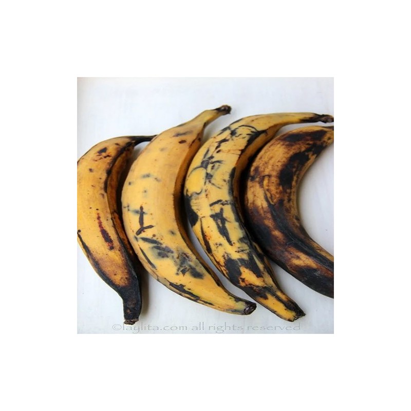 The sweetness of ripe plantains on 280th Street at La Bendición Greengrocer. Fresh and ready for your table
