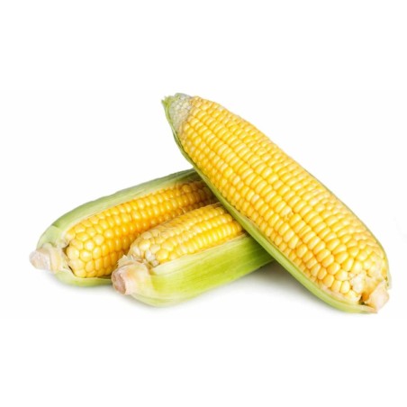 “Elote” en tu verdurería y frutería La Bendición del 280