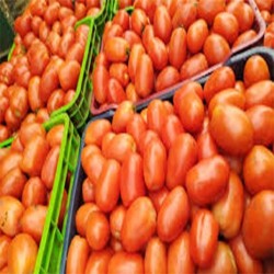 Buy Fresh Tomatoes at 280 – La Bendición