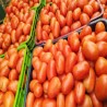 Comprar Tomates Frescos en 280 – La Bendición