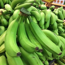 Comprar Bananos Verdes en 280 – La Bendición