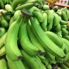 Buy Green Bananas at 280 – La Bendición