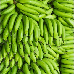 "Bananos verdes frescos de La Bendición (280), ideales para sopas, fritos y guisos tradicionales."