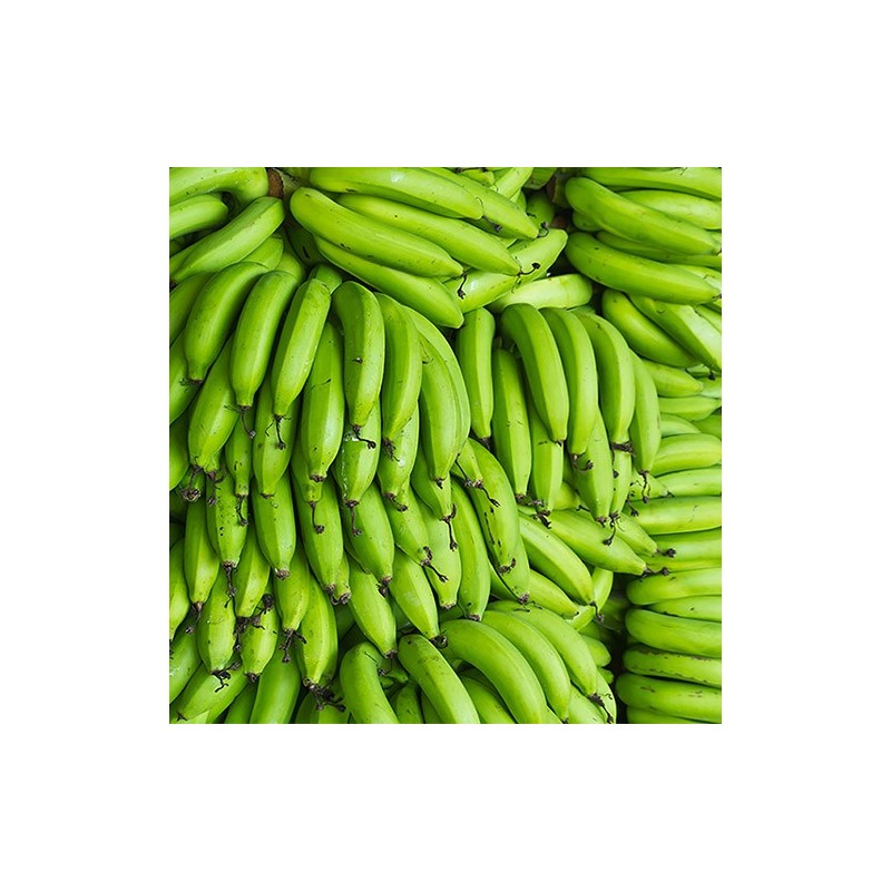 "Bananos verdes frescos de La Bendición (280), ideales para sopas, fritos y guisos tradicionales."