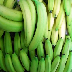 Comprar Bananos Verdes en 280 – La Bendición