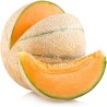 Buy Fresh Melon at 280 – La Bendición