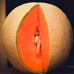 "Fresh and juicy melons from La Bendición (280), the natural sweetness that refreshes your days."