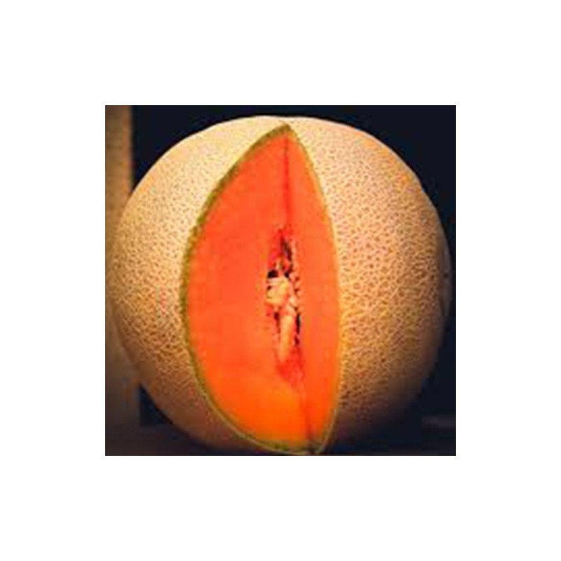 "Fresh and juicy melons from La Bendición (280), the natural sweetness that refreshes your days."