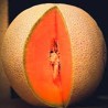 "Melones frescos y jugosos de La Bendición (280), la dulzura natural que refresca tus días."