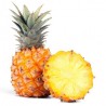 Buy Fresh Pineapple at 280 – La Bendición