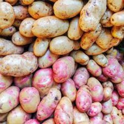 Comprar Papas Frescas en 280 – La Bendición
