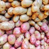 Buy Fresh Potatoes at 280 – La Bendición