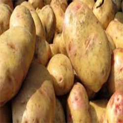 Comprar Papas Frescas en 280 – La Bendición