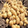 Comprar Papas Frescas en 280 – La Bendición