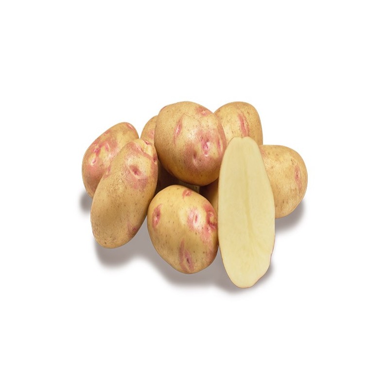 "Papas frescas de La Bendición (280), el sabor casero que nunca falta en tu mesa."