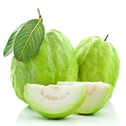 "Fresh Thai guava from La Bendición (280), the exotic fruit that brings sweetness and health."