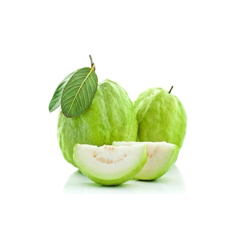 "Guava tailandesa fresca de La Bendición (280), la fruta exótica que aporta dulzura y salud."
