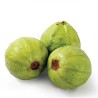 Buy Thai Guava at 280 – La Bendición