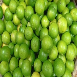 Comprar Limones Frescos en 280 – La Bendición