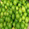 Comprar Limones Frescos en 280 – La Bendición