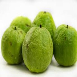 Comprar Guava Tailandesa en 280 – La Bendición