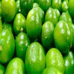 Comprar Limones Frescos en 280 – La Bendición