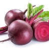 Buy Fresh Beets at 280 – La Bendición