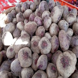 Comprar Remolacha Fresca en 280 – La Bendición