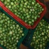 Comprar Limones Frescos en 280 – La Bendición