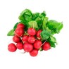 Buy Fresh Radishes at 280 – La Bendición