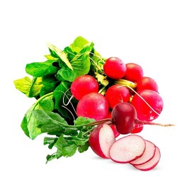 Buy Fresh Radishes at 280 – La Bendición