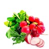 Buy Fresh Radishes at 280 – La Bendición