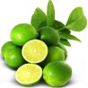 Limones Frescos de tu Verdurería y Frutería La Bendición en el 280! 🌿🍋