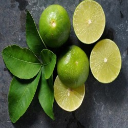 Comprar Limones Frescos en 280 – La Bendición