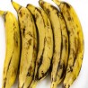 Buy Fresh Ripe Plantains in 280