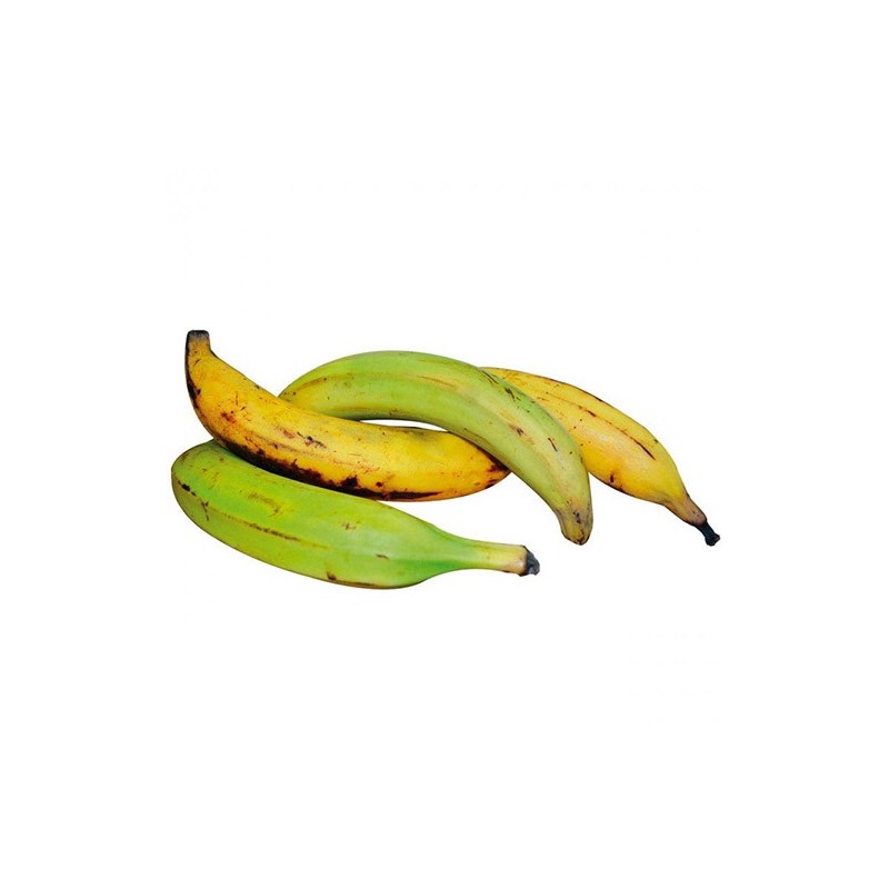 Plátanos Verde