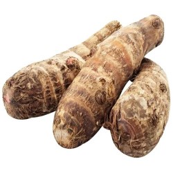 Buy Fresh Tiquisque at 280 – La Bendición
