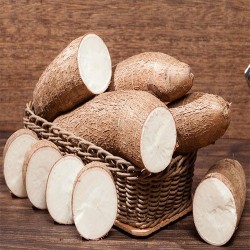 Comprar Yuca Fresca en 280 – La Bendición