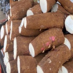 Buy Fresh Cassava at 280 – La Bendición
