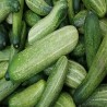 Buy Fresh Cucumbers at 280 – La Bendición