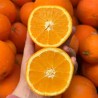 Comprar Naranjas Frescas en 280 – La Bendición
