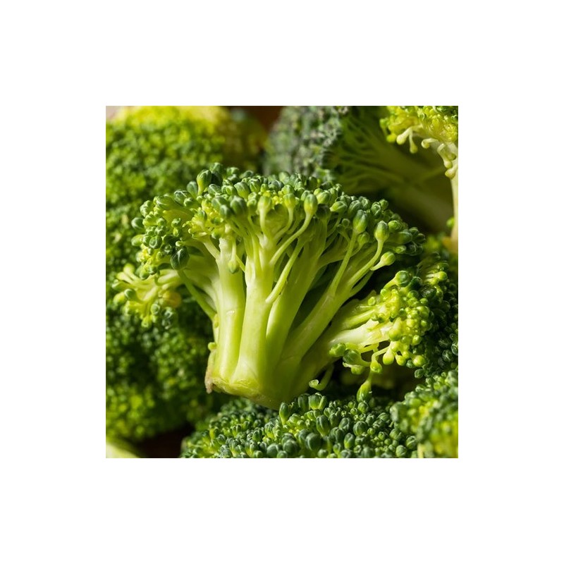 Fresh broccoli at La Bendición (280)