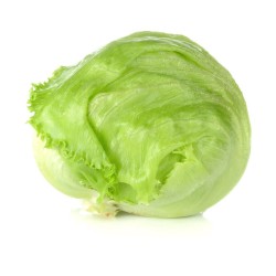 Comprar Lechuga Fresca en 280 – La Bendición