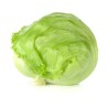 Buy Fresh Lettuce at 280 – La Bendición