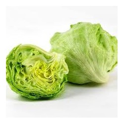 Buy Fresh Lettuce at 280 – La Bendición
