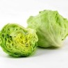 Comprar Lechuga Fresca en 280 – La Bendición