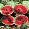 Buy Fresh Watermelon at 280 – La Bendición