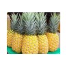 Buy Fresh Pineapple at 280 – La Bendición