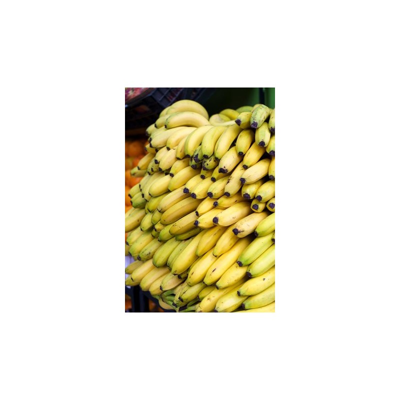 Comprar Bananos Maduros Frescos en 280 – La Bendición