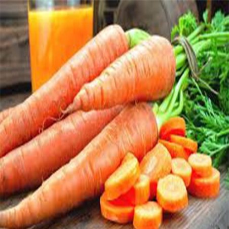 "Zanahorias frescas y crujientes de La Bendición (280), listas para darle color y salud a tu mesa."